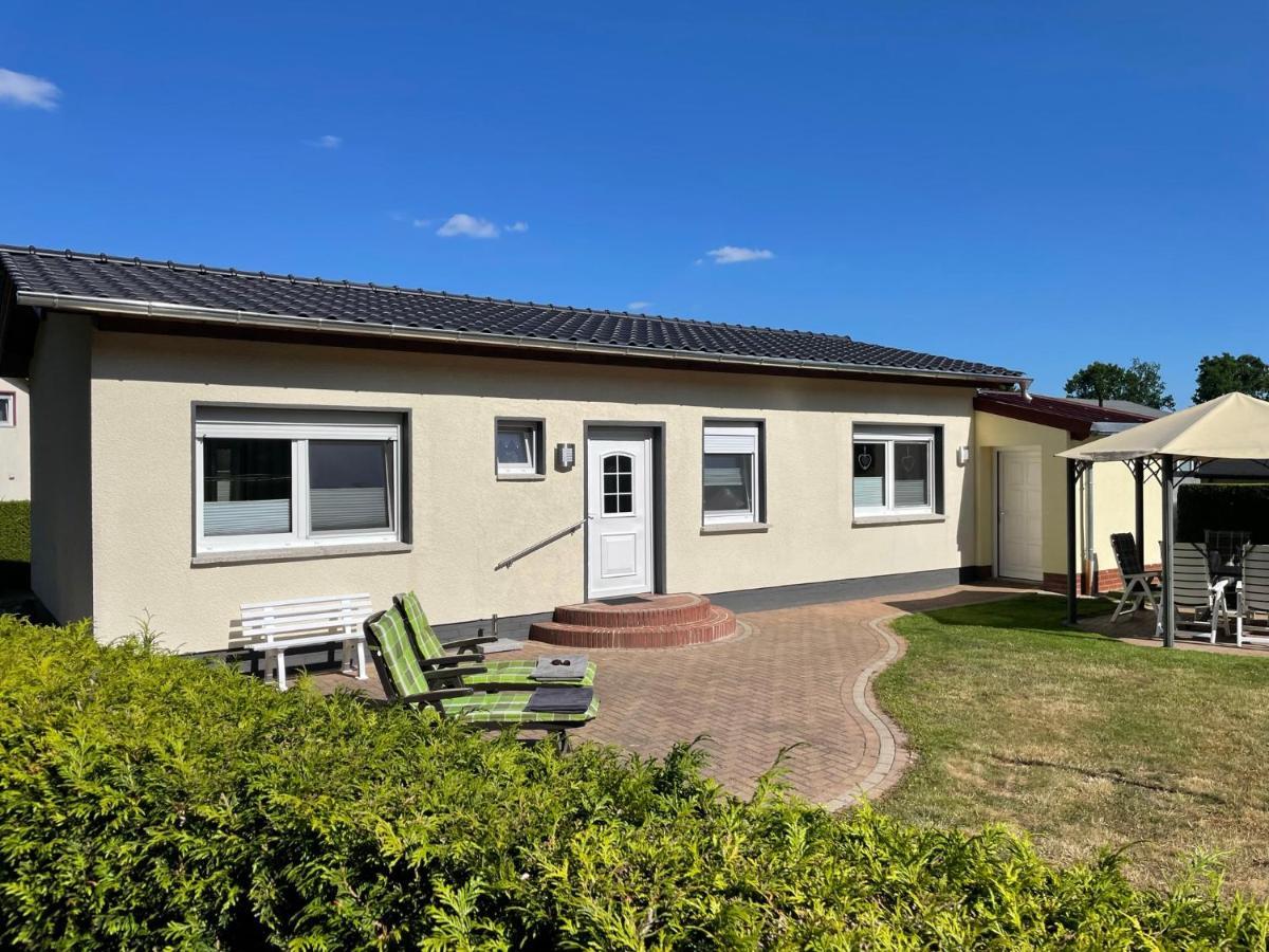 Dargun Ferienhaus Am Klosterwald מראה חיצוני תמונה