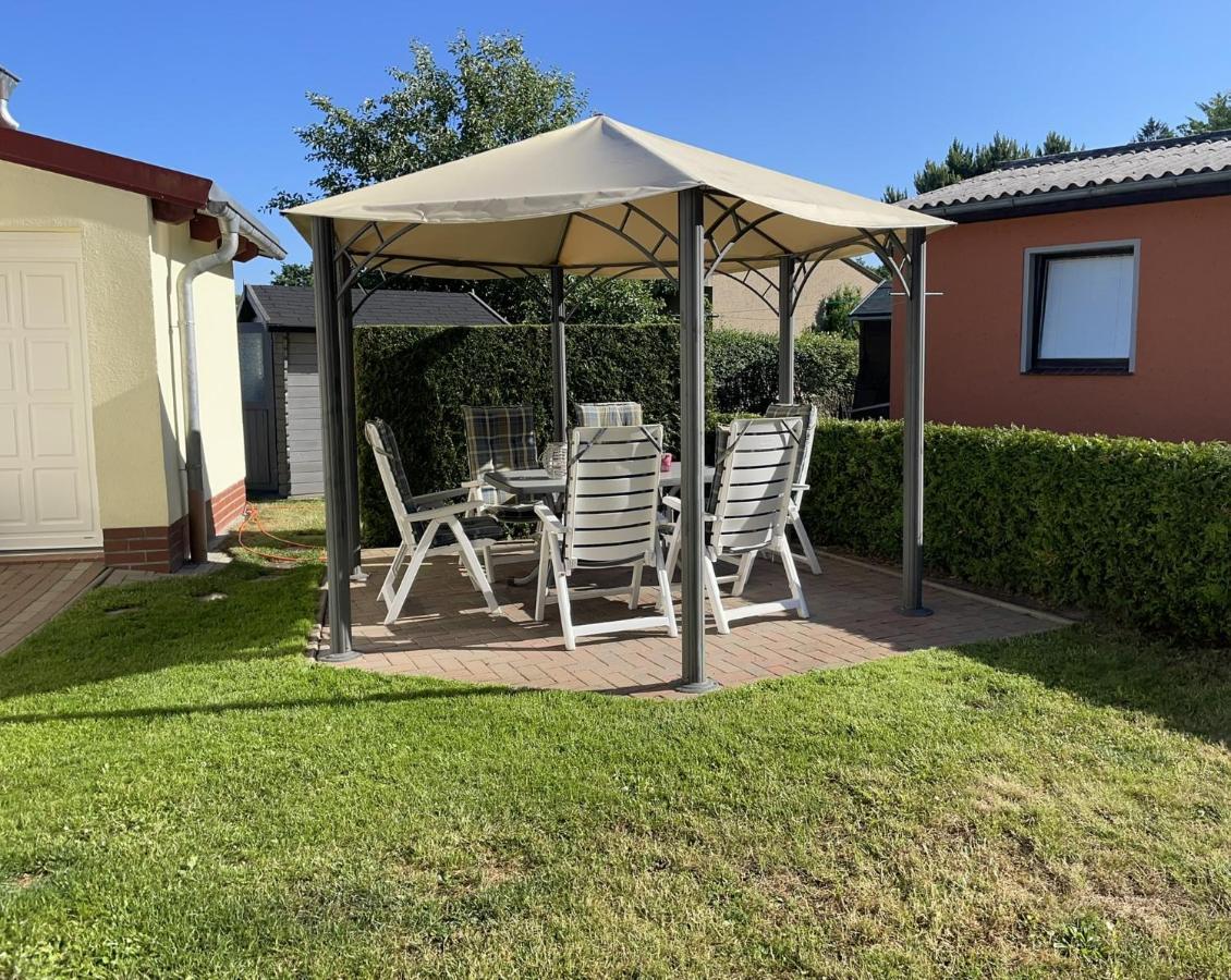 Dargun Ferienhaus Am Klosterwald מראה חיצוני תמונה