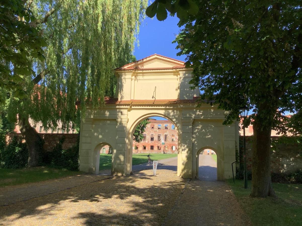 Dargun Ferienhaus Am Klosterwald מראה חיצוני תמונה
