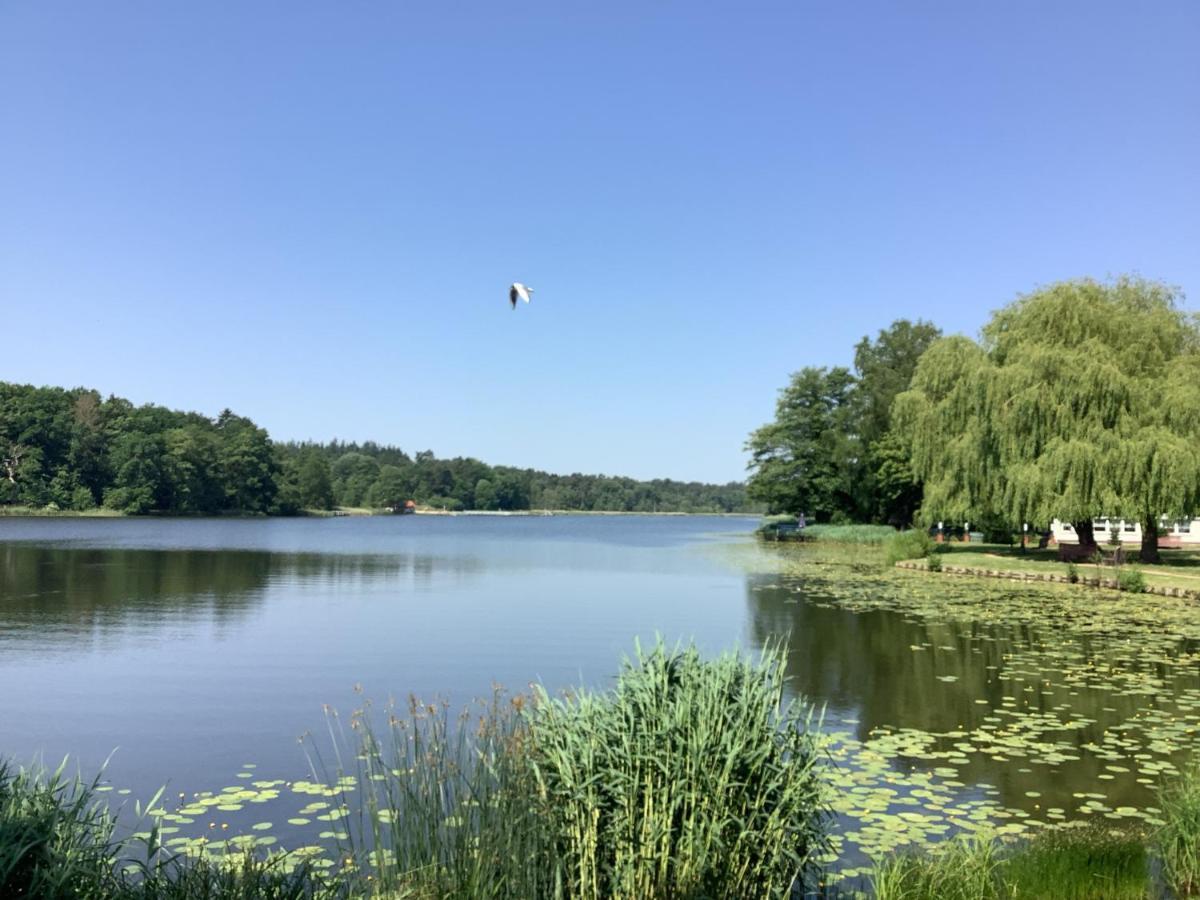 Dargun Ferienhaus Am Klosterwald מראה חיצוני תמונה