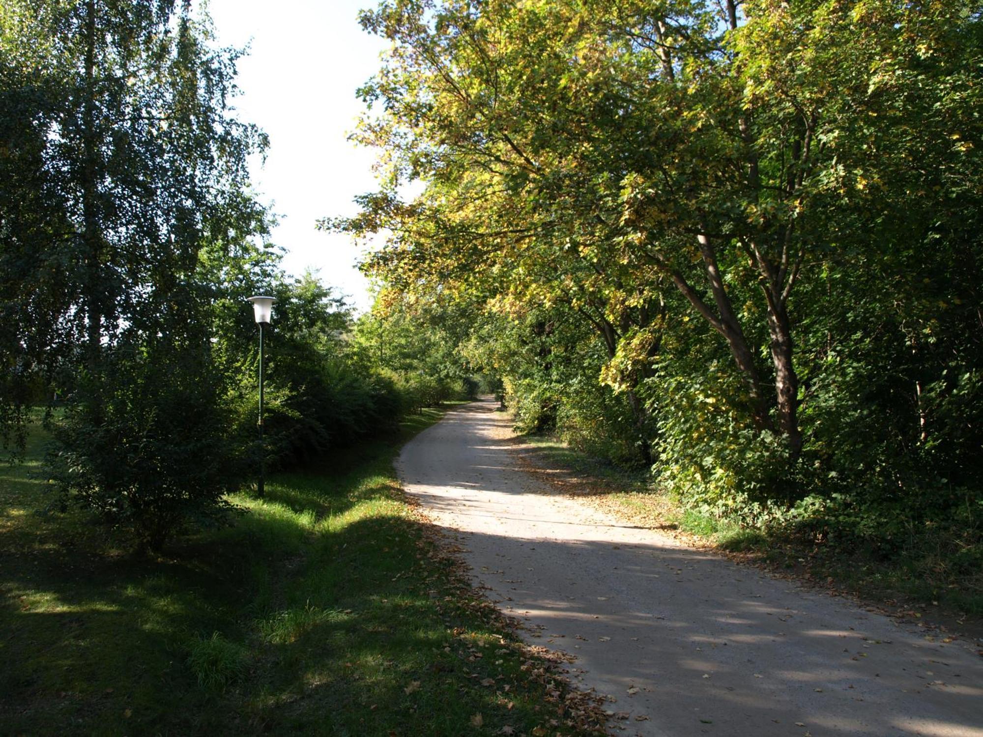 Dargun Ferienhaus Am Klosterwald מראה חיצוני תמונה